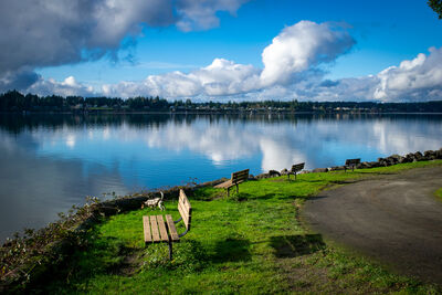 Park benches overlooking the bay
